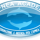apnea academy